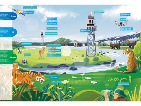 50th anniversary of World Environment Day