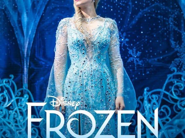 Frozen The Hit Broadway Musical