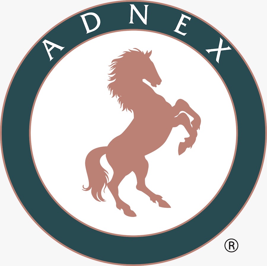 Adnex Group Berhad