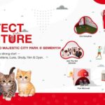 Royal Canin Purrfect Adventure