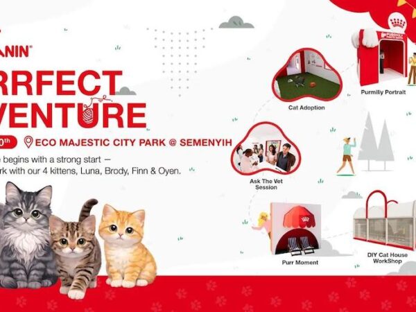Royal Canin Purrfect Adventure