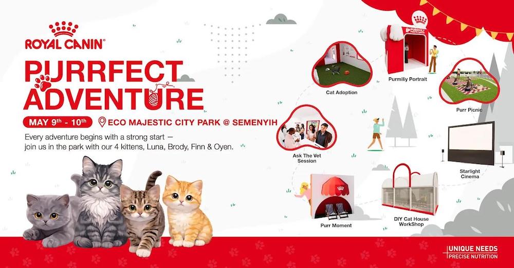 Royal Canin Purrfect Adventure