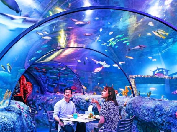 SEA LIFE Underwater Dining Experience