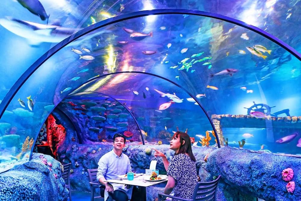 SEA LIFE Underwater Dining Experience