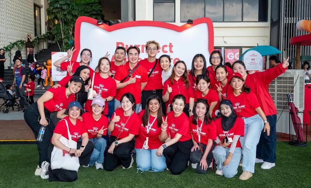 Purrfect Adventure by Royal Canin