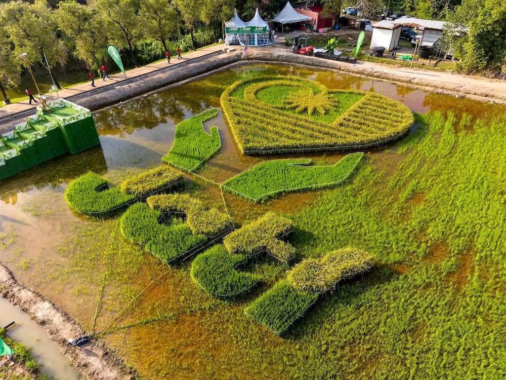 JATI Malaysia’s Largest Paddy Art Formation at MAHA 2026
