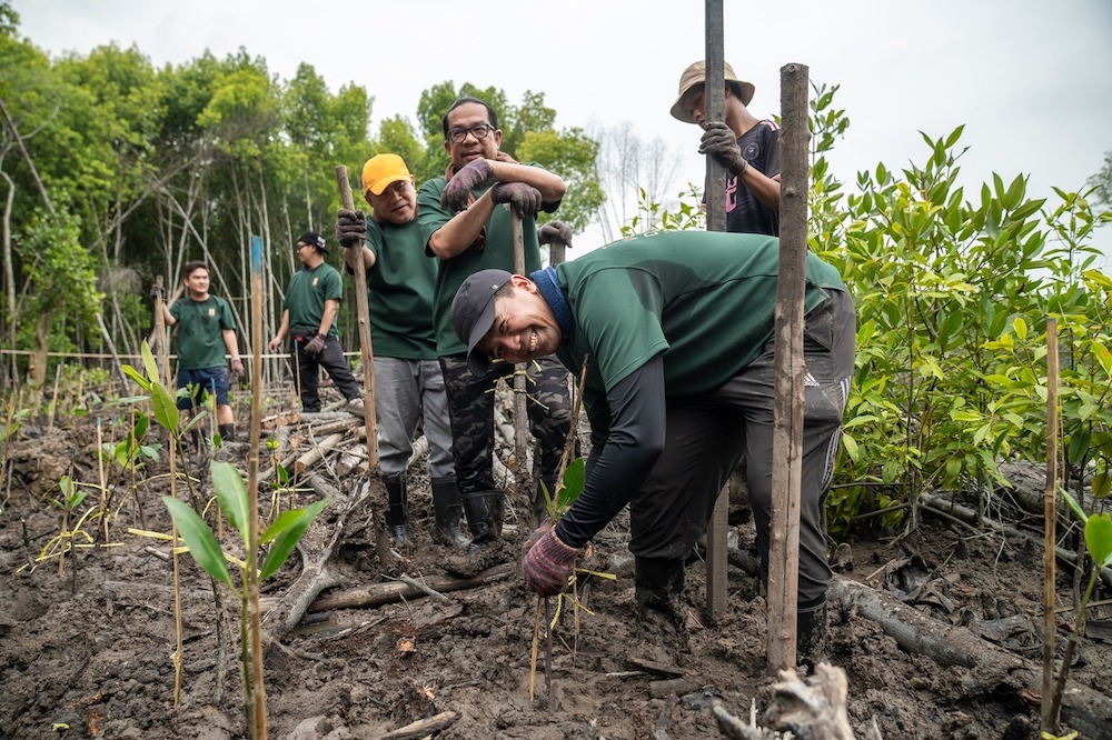 200 mangrove trees planted by Hektar REIT