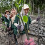 Hektar REIT Plants 200 Mangrove Trees at Kuala Selangor Nature Park