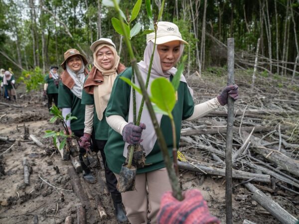 Hektar REIT Plants 200 Mangrove Trees at Kuala Selangor Nature Park