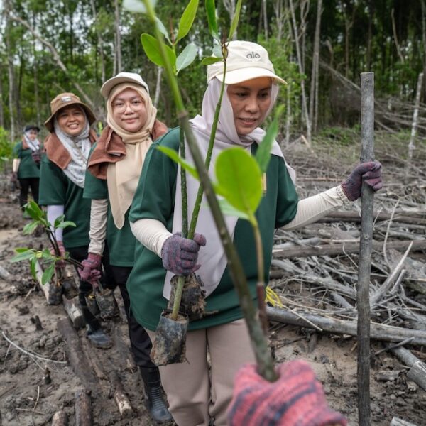Hektar REIT Plants 200 Mangrove Trees at Kuala Selangor Nature Park
