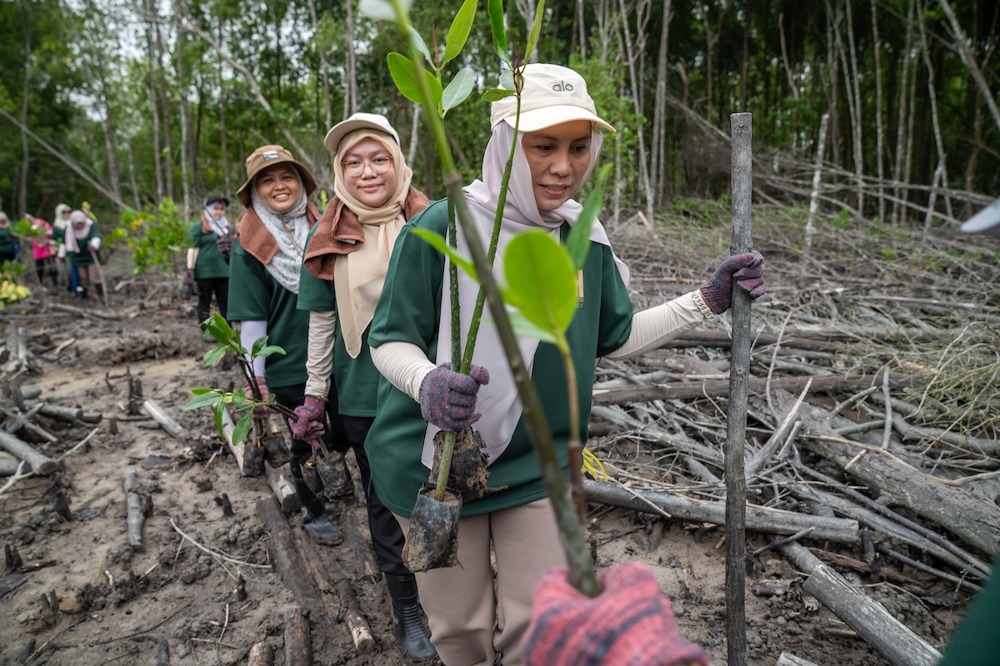 Hektar REIT Plants 200 Mangrove Trees at Kuala Selangor Nature Park